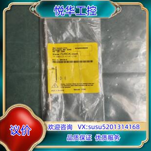 TURCK图尔克 正品 全新原装 H11议价 206A 原装