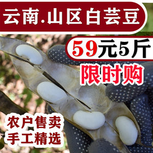 大理白芸豆5斤包邮颗粒饱满