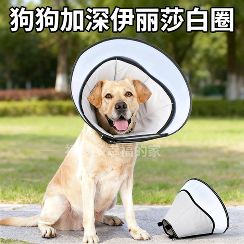 狗狗伊丽莎白圈加大防咬防舔