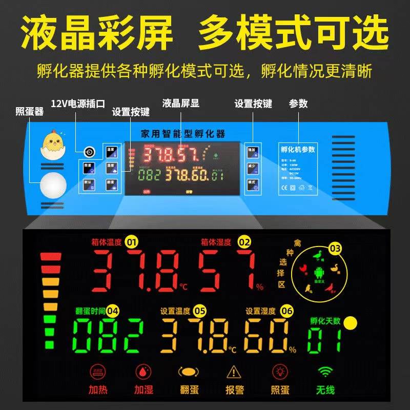 孵化器小型家用型全自动智能水床孵化箱芦丁鸡孵化器孵化机孵蛋器 五金/工具 电热工具 原图主图