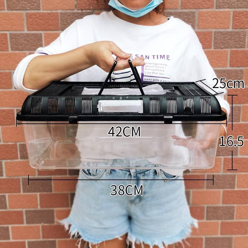 透明塑料金鱼缸开放式手提透气乌龟饲养盒黑盖宠物运输盒外带家用