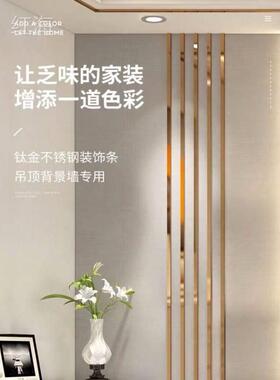 钛金装饰条不锈钢型槽吊顶装饰条电视墙背景墙线条嵌入式收边条