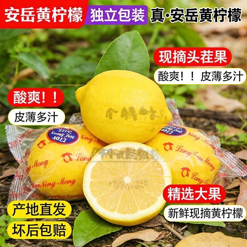 安岳新鲜黄柠檬 5 斤整箱包邮柠檬