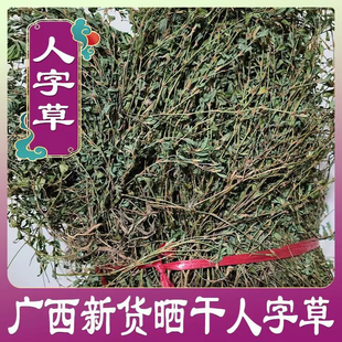 野生人字草 鸡眼草公母草夜关门老鸦须红骨丹中药材草药500g包邮