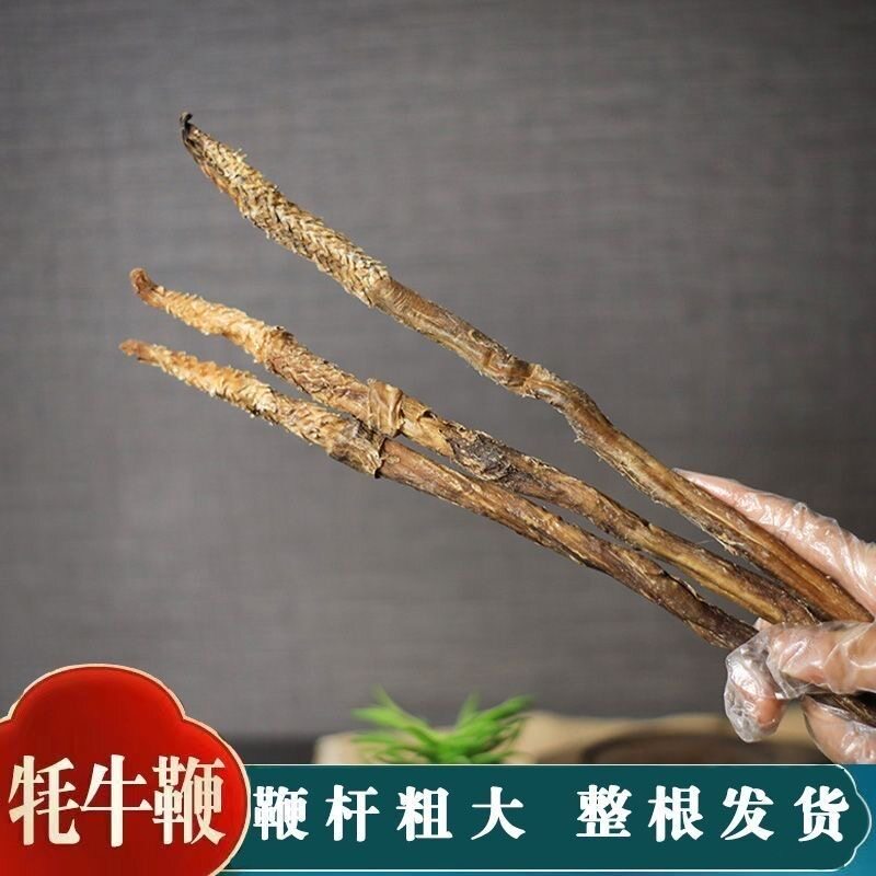 牦牛鞭中药材70克起西藏牦牛鞭泡酒料整枝整根风干毛牛鞭 可打粉