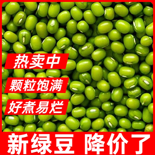 25年夏天小绿豆农家新货绿豆可发豆芽解暑绿豆汤老品种特价 批发