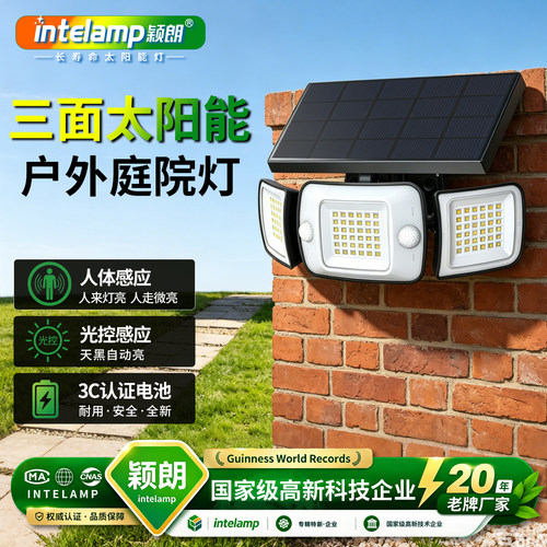 太阳能夜间人体自动感应灯