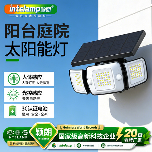 太阳能夜间人体自动感应灯