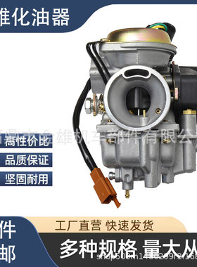 摩托车化油器适用AN125 铃木海王星红巨星蓝巨星超人摩托车化油器