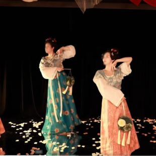 舞优伶《阑珊处》古典舞舞蹈专业定制女子群舞民族民间演出服装