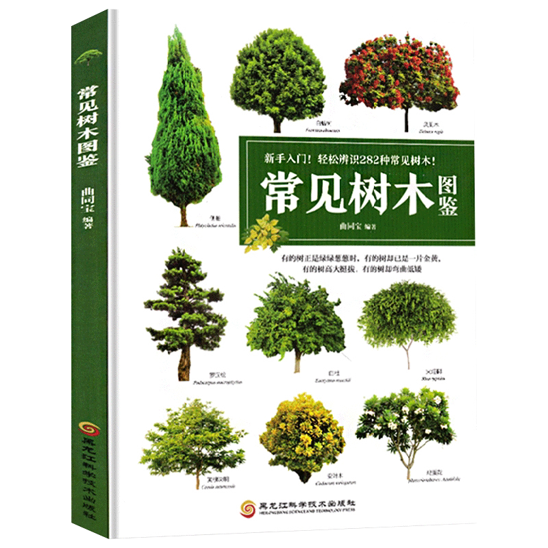 园林植物苗木大全 常见树木品种介绍乔木/灌木/柳杉 植物图鉴植物书籍