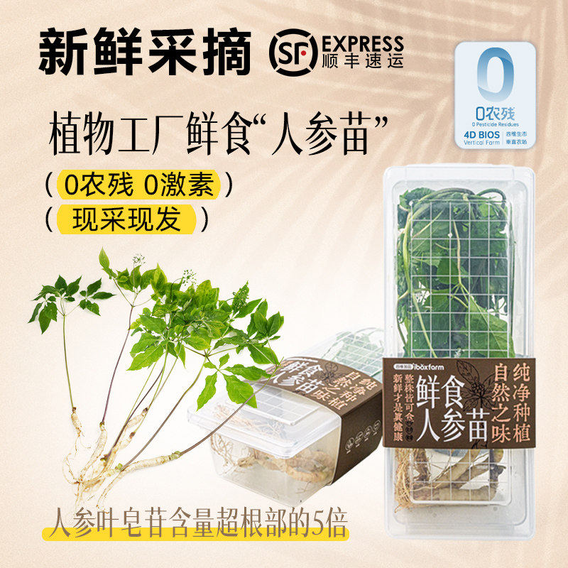 新鲜人参苗3-10株带叶整支可食用鲜食人参苗山参泡茶煲汤顺丰包邮