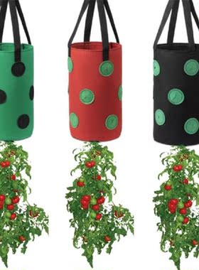 Hanging Strawberry Growing Hanging Aeration Planter Bag