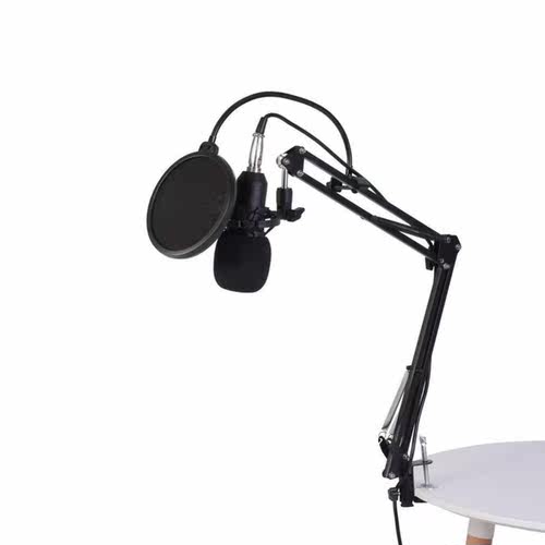 unidirectional condenser microphone arm stand studio mic