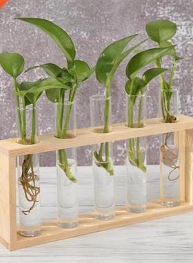 Transparent Glass Vase Wood Frame Iron Art Terrarium Bonsai