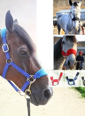 Thicken Pony Cob Horse Halter Rein Head Collar Horse Racing