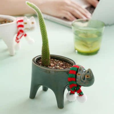 Succulent Plant Pot With Hole Cute Animal Flower Planter Flo