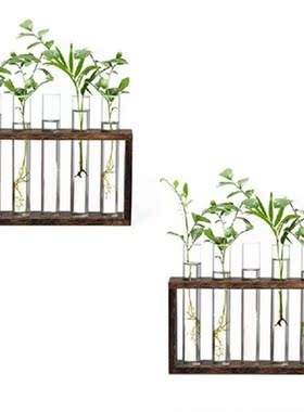 Plant Propagation Stations, Plant Terrarium With Wood Stand