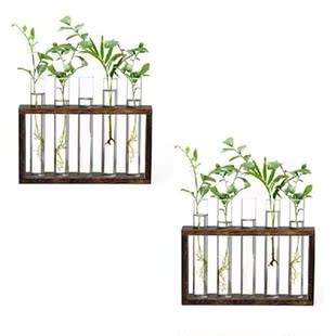 Plant Propagation Stations, Plant Terrarium With Wood Stand
