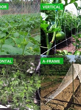 1.67x5m Garden Plants Climbing Net Polyester Tomatoes Grapes