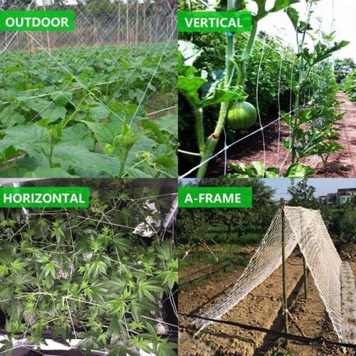 1.67x5m Garden Plants Climbing Net Polyester Tomatoes Grapes