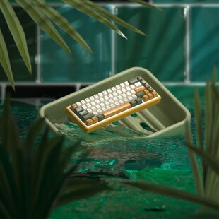 Glove X Domikey SA  Avostar abs doubleshot Avocado keycap fo