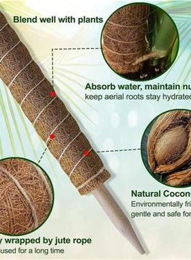 Moss Pole , Monstera Coir Totem Pole 4 Pack, 30cm and 40cm M