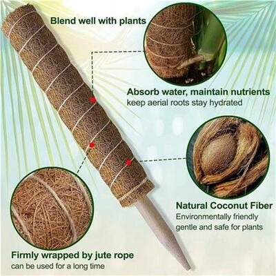 Moss Pole , Monstera Coir Totem Pole 4 Pack, 30cm and 40cm M