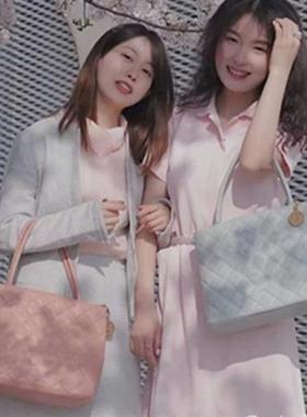 New 2021 Elegant Shoulder Bag Women Designer Luxury Brand Ha