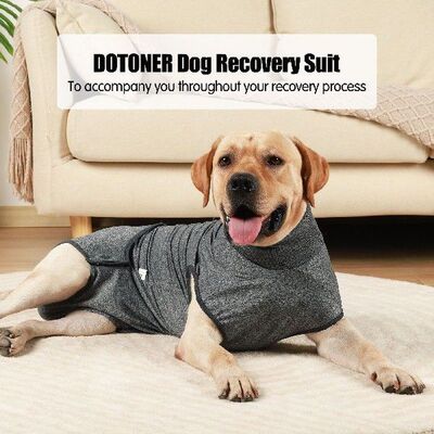 Recovery Suit for Dogs After Surgery Wear Prevent Licking