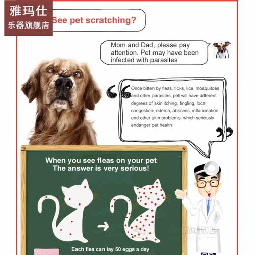 Adjustable Dog  Cat Collar Flea  Tick Prevention Pet Colla