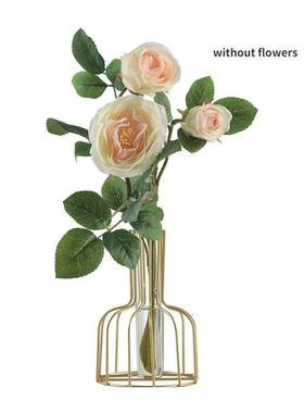 Nordic Transpent Glass Vase Decoration Creative Simple Liv