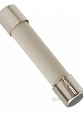 100PCS Ceramic fuse tube 0.5A/1A/2A/3A/3.15A/4A/5A/6A /8A/10