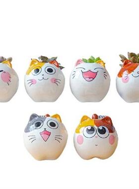 Cartoon Animal Flower Pot Cute Cat Ceramic Succulents