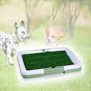 Mat Indoor Lawn Pad Pet Urinal Artificial Toilet Grass