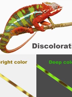 500m Invisible Fishing line Speckle Carp Fishing 3D Camoufla