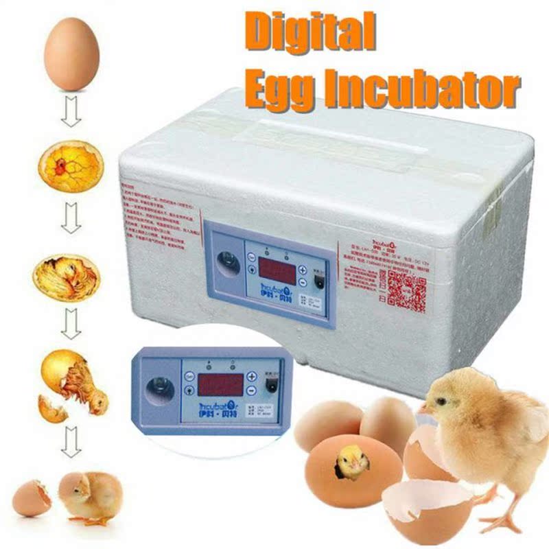 New 20 Position Automatic Digital Family Eggs Incubator Chic