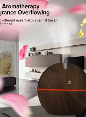 Electric Humidifier Aromatherapy Diffuser Essential Oils Air