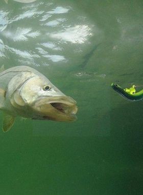 Luya Loach Fake Bait Simulation Twitch Fish Soft Worm Can