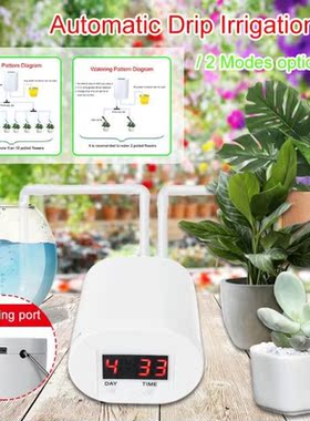 2Model Automatic Watering Machine Garden Equipment Plant Dri