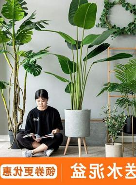 simulation plant decoration big false green plant potted