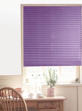 Window-Curtain Shades Pleated-Blinds Balcony Bathroom Half-B