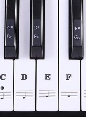 Sticker Piano Electronic Keyboard White-Keys Transparent 61