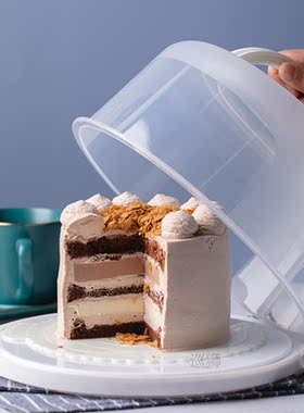 6/8/10 inch Portable Cake Box Food Fresh-keeping Box Refrige