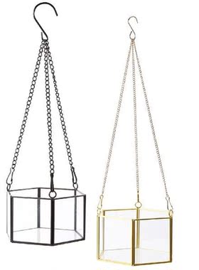 Modern Hanging Glass Terrarium Geometric Hexagon Shaped