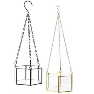 Modern Hanging Glass Terrarium Geometric Hexagon Shaped