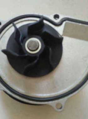 water pump for Chery  arrizo 7 ,a3 a5 tiggo 1.6L E4g16 engi