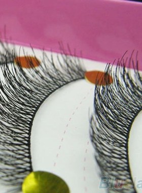 10 Pairs Makeup Beauty False Eyelashes Extension Long Thick