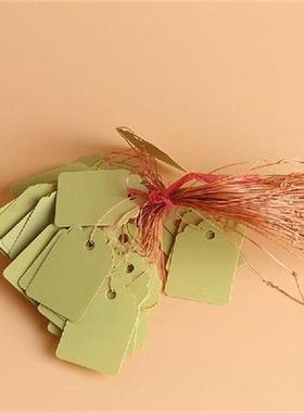 100PCS/Lot Colorful Garden Plant Markers Bonsai Succulent