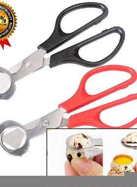 Quail Egg Scissors Bird Egg Scissors Stainless Steel Egg